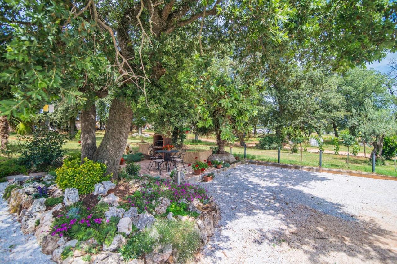 Apartment Nilda Valdi Sabadin Εξωτερικό φωτογραφία